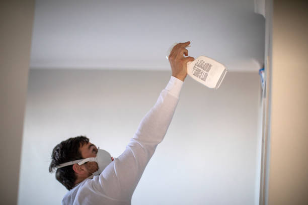 Best Attic Mold Removal  in Hoxie, AR